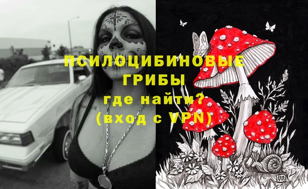 стаф Магас