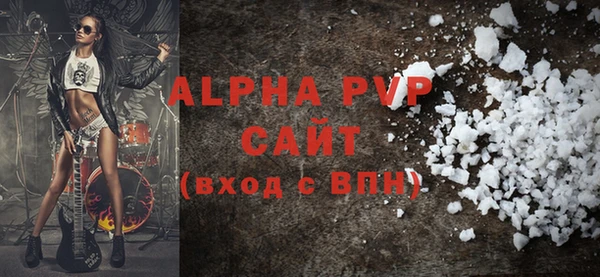прущие грибы Горно-Алтайск