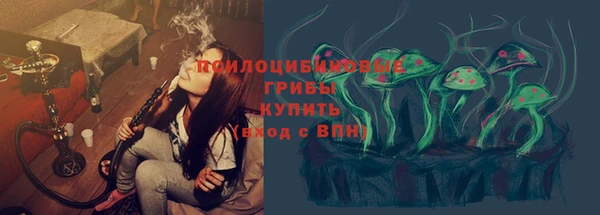 марки lsd Горняк
