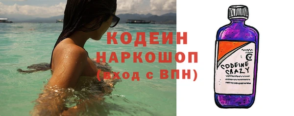 прущие грибы Горно-Алтайск