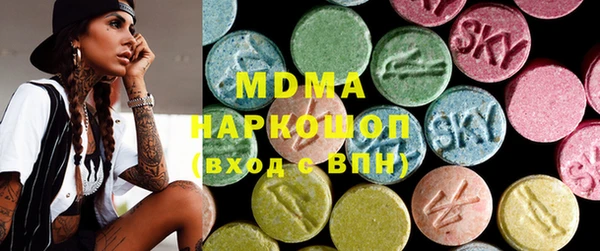 прущие грибы Горно-Алтайск