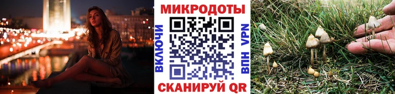 Галлюциногенные грибы Cubensis  kraken зеркало  Пионерский 